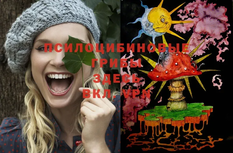 как найти закладки  Лангепас  Галлюциногенные грибы Psilocybe 